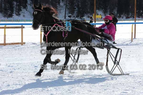 ET0Q0890 prot